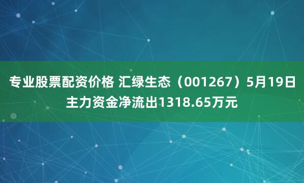 专业股票配资价格 汇绿生态（001267）5月19日主力资金净流出1318.65万元