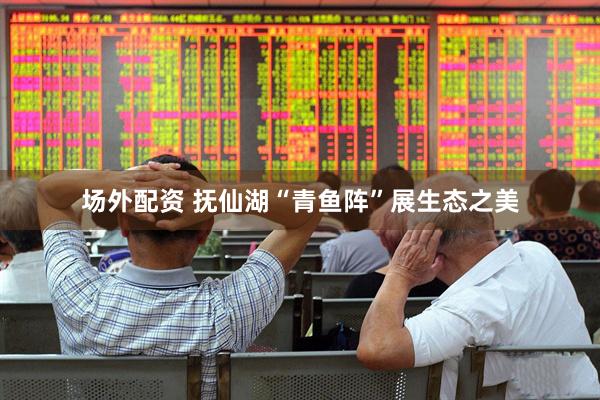 场外配资 抚仙湖“青鱼阵”展生态之美