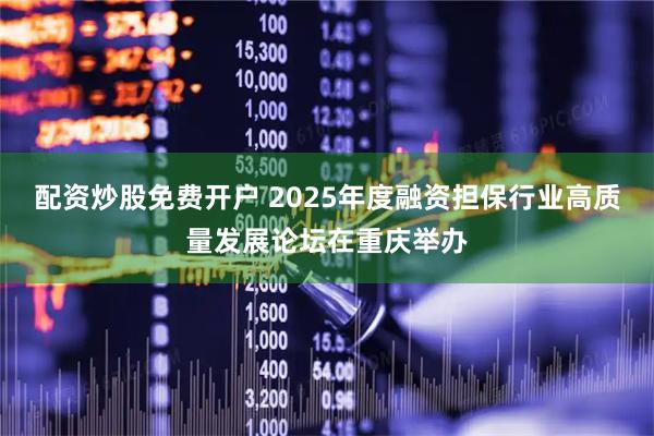 配资炒股免费开户 2025年度融资担保行业高质量发展论坛在重庆举办